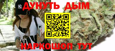 крисы Гай