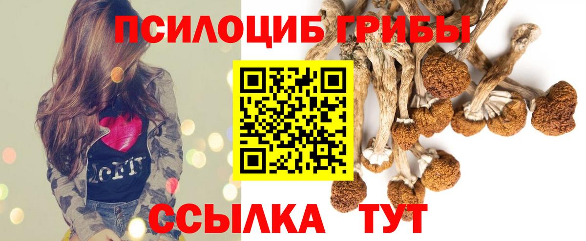 Псилоцибиновые грибы ЛСД  Вход с VPN  купить наркотик  Галлюциногенные грибы MAGIC MUSHROOMS  Соль-Илецк 